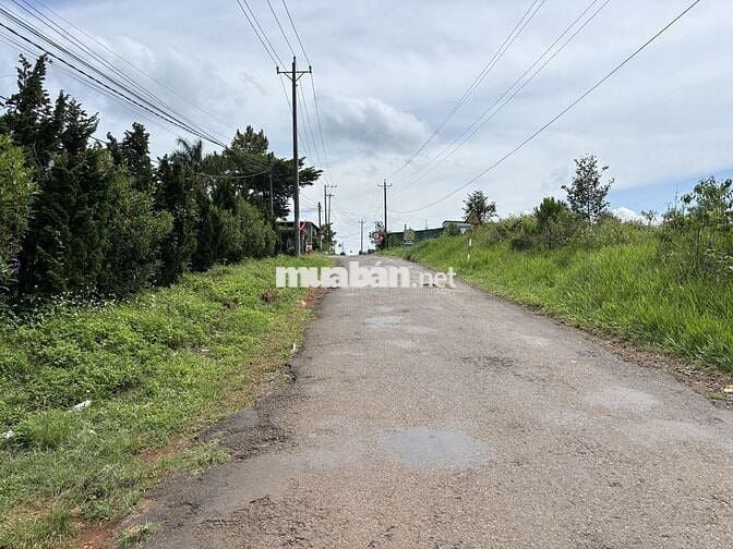 Bán đất CLN mặt tiền đường Thôn 14 - Phường 2 Bảo Lộc, LĐ