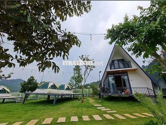 Định cư nước ngoài bán lỗ gấp lô 26x80m 2082m2 giá 300 triệu View Hồ