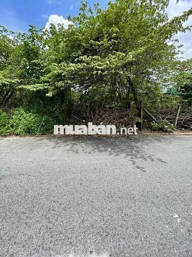 Đất thổ cư, hẻm xe hơi 16 chỗ, 5x25m Hẻm 287 Trần Quang Diệu