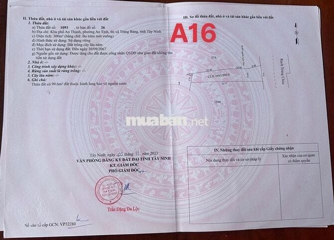 Đất thổ 330m2 ngay TT Trảng Bàng, SHR, dân cư đông, xây tự do, 980tr