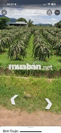 CHÍNH CHỦ Cần Bán Nhanh Lô Đất Hàm Thạnh, Hàm Thuận Nam, Bình Thuận.