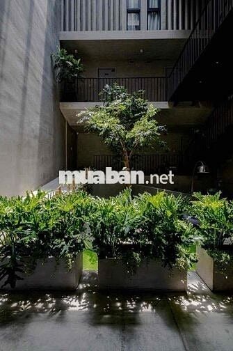 CHDV full nội thất gác ban công máy giặt riêng mới 100% ngay Đầm Sen