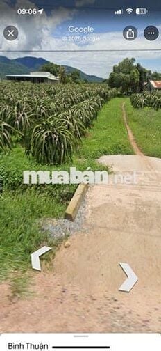 CHÍNH CHỦ Cần Bán Nhanh Lô Đất Hàm Thạnh, Hàm Thuận Nam, Bình Thuận.