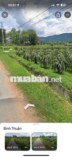 CHÍNH CHỦ Cần Bán Nhanh Lô Đất Hàm Thạnh, Hàm Thuận Nam, Bình Thuận.