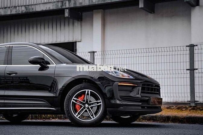 Macan 2021