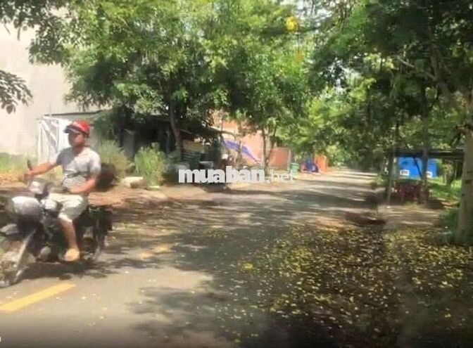 BÁN ĐẤT KHU DÂN CƯ AN PHÚ TÂY, BÌNH CHÁNH