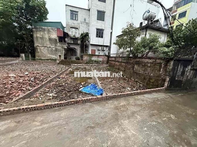 Bán Đất Phố Trường Lâm,Long Biên 55M mặt tiền 4M Vuông Vắn giá 8,xty