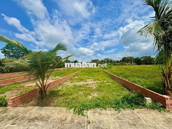 Đất thổ 330m2 ngay TT Trảng Bàng, SHR, dân cư đông, xây tự do, 980tr