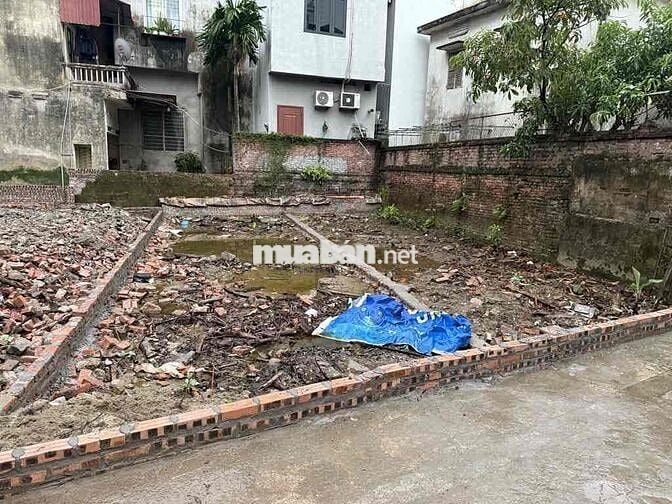 Bán Đất Phố Trường Lâm,Long Biên 55M mặt tiền 4M Vuông Vắn giá 8,xty