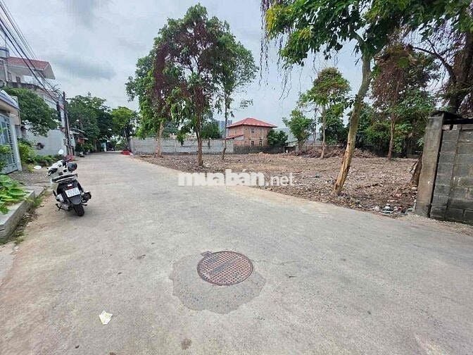 Đất 100m2 gần BigC Go,Đông Hoà,TP Dĩ An