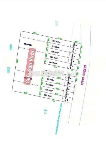 Đất 100m2 gần BigC Go,Đông Hoà,TP Dĩ An