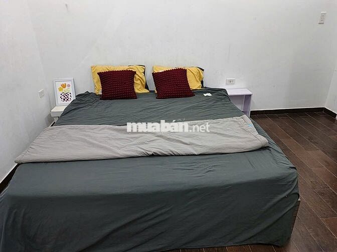 CHO THUÊ NHÀ MẶT TIỀN HUỲNH MINH THẠNH – VỊ TRÍ KINH DOANH ĐẸP