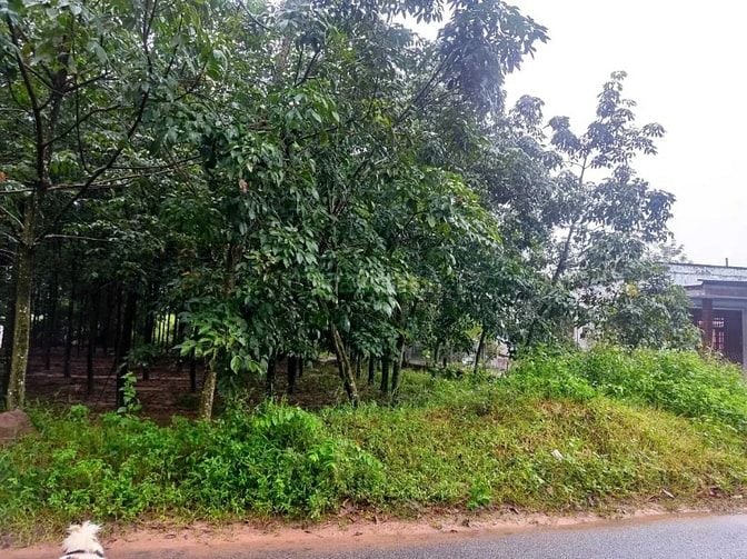 Chính chủ bán lô đất đẹp 870.6m² tại Thị trấn Tân Bình, Bắc Tân Uyên