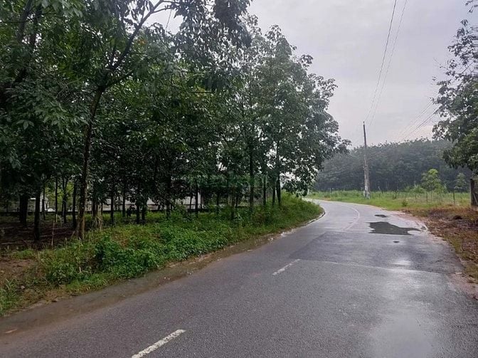 Chính chủ bán lô đất đẹp 870.6m² tại Thị trấn Tân Bình, Bắc Tân Uyên