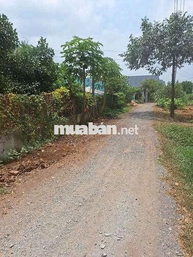 Chính chủ bán nhanh đất Đức Hòa - Long An