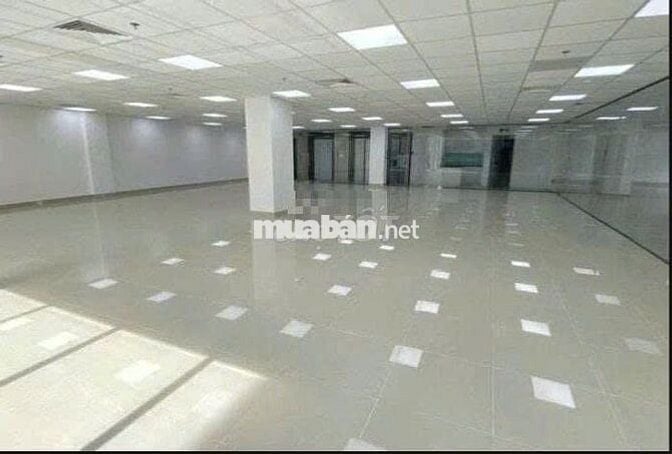 Tòa nhà 2 Mặt Tiền Nguyễn Đình Chiểu Gần Cách Mạng Tháng 8 Quận 3