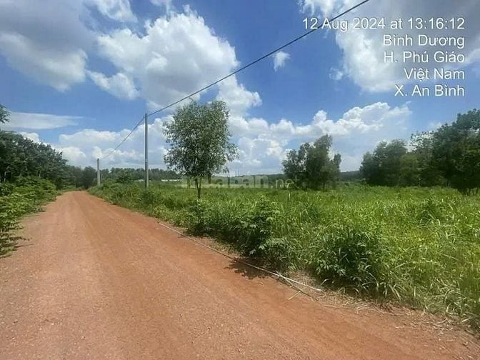 Công ty Đấu giá hợp danh Lam Sơn Sài Gòn thông báo đấu giá tài sản