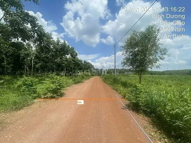 Công ty Đấu giá hợp danh Lam Sơn Sài Gòn thông báo đấu giá tài sản