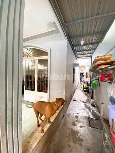 Nhà Vàng Cho Làng Đầu Tư, Cấp 4 Nở Hậu Lên Tới 155m2