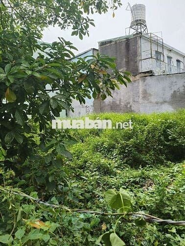 6,5M❎14M LÔ ĐẤT MẶT TIỀN THỚI AN QUẬN 12