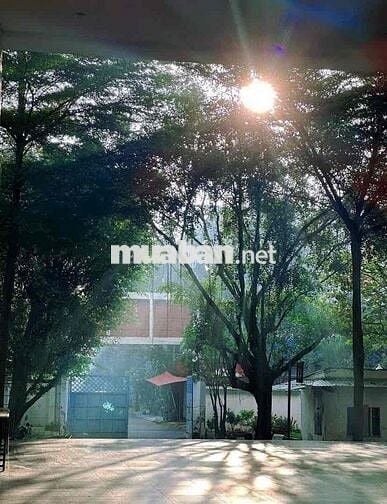 TÌM GẤP NỮ Ở GHÉP CĂN HỘ DREAMHOME LUXURY, GÒ VẤP