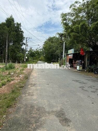 Chủ ngộp cần sang hơn 1000m2 đất vườn có thổ, SHR giá rẻ liền tay