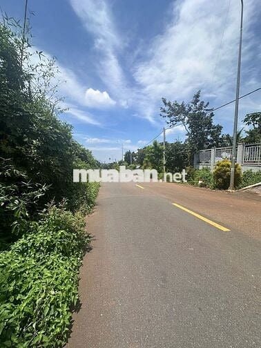 Ngân hàng thanh lý lô đất mặt tiền đường nhựa 7m- ngang 10m-100m2 thổ