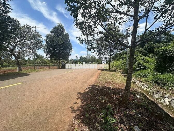 Ngân hàng thanh lý lô đất mặt tiền đường nhựa 7m- ngang 10m-100m2 thổ