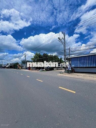 Chủ cần sang nhanh lô đất Mt DH504 nhựa 32m giá rẻ, Kinh Doanh tốt