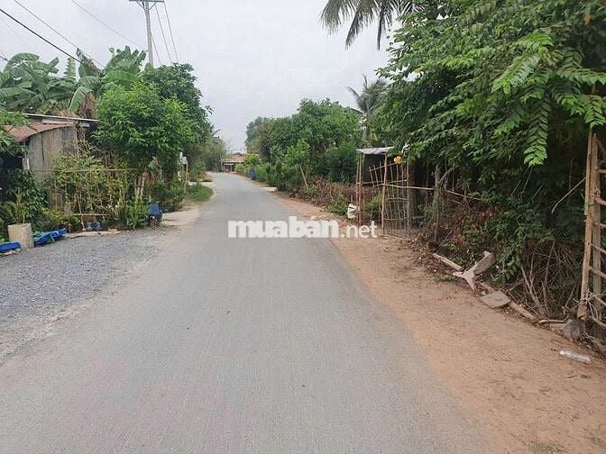 1 tỷ 1/ 774m2 - MT Nguyễn Thị Thạo, Củ Chi, gần KCN Tây Bắc. Sổ hồng