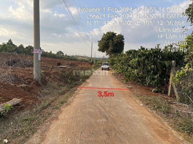 Công ty Đấu giá hợp danh Lam Sơn Sài Gòn thông báo đấu giá tài sản