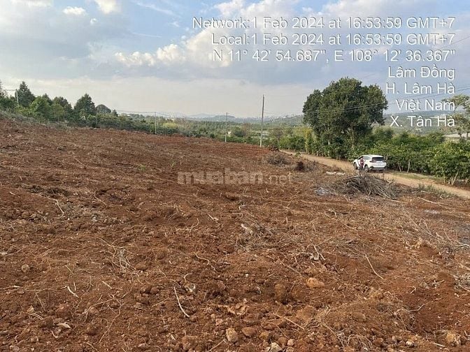 Công ty Đấu giá hợp danh Lam Sơn Sài Gòn thông báo đấu giá tài sản