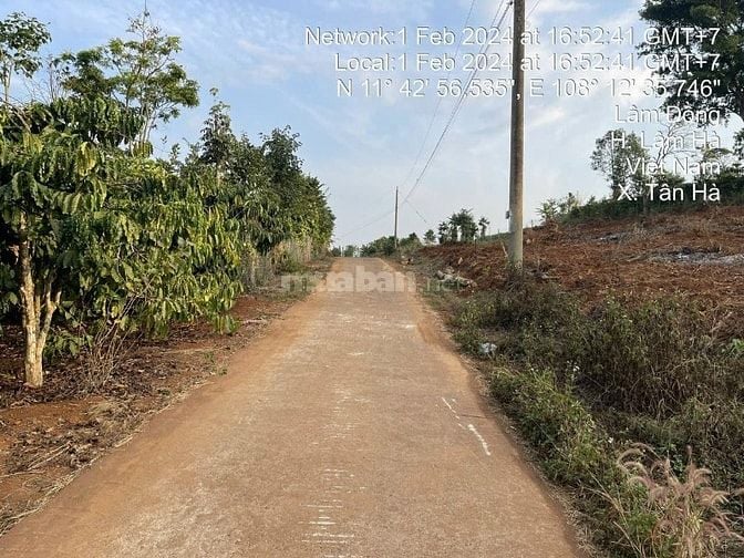 Công ty Đấu giá hợp danh Lam Sơn Sài Gòn thông báo đấu giá tài sản