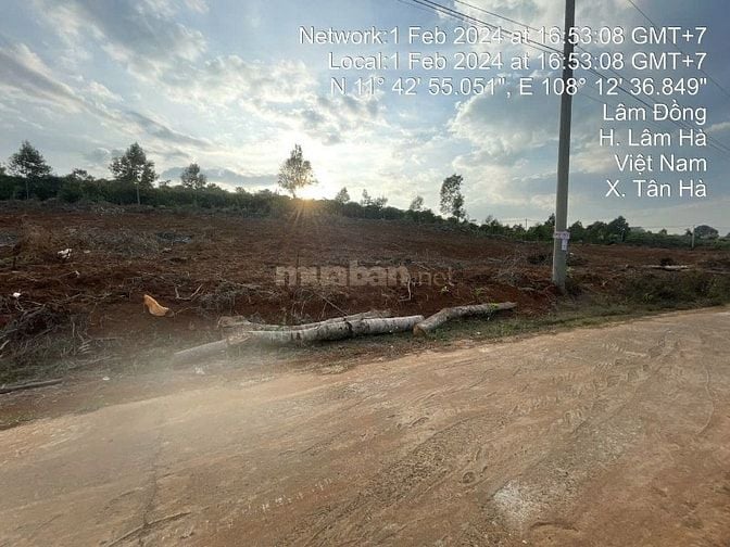 Công ty Đấu giá hợp danh Lam Sơn Sài Gòn thông báo đấu giá tài sản