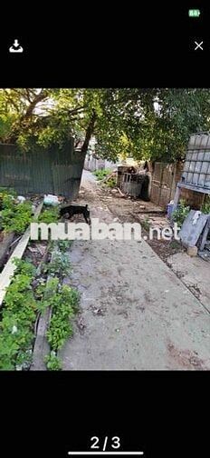 Trên 90tr/m có thửa đất đẹp Ngọc Hồi-xe tải vào-60m ra QL1A-98m;MT4,5m