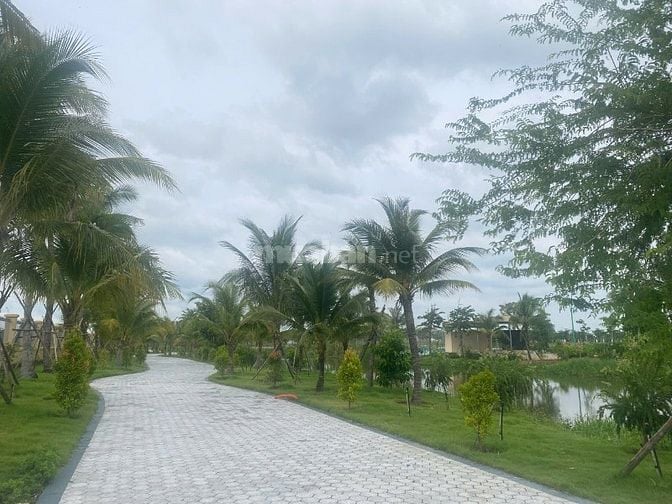 ĐẤT NỀN 6X20,  MẶT TIỀN ĐƯỜNG DT 818, SỔ SẴN, CÔNG CHỨNG NGAY