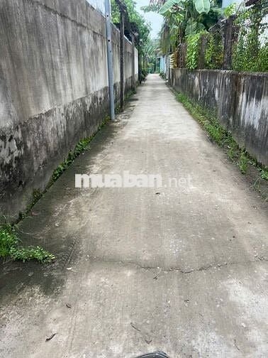 Bán lô đất vườn đường An Sơn 19  An Sơn Thuận An Bình Dương