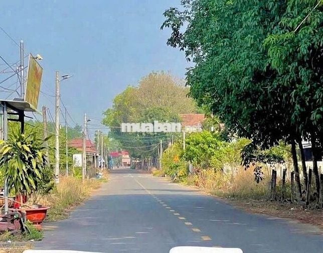 Đất xây trọ gần TT lớn nhất phú giáo HCM giá 1ty50/750m(15*50 TC 300m)