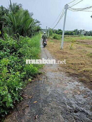 Đất thổ giá công nhân liền kề kcn Long Hậu Cần Giuộc
