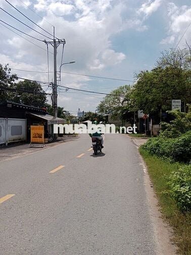 Gia Đình Đi Nước Ngoài Cần Chuyển Nhượng Gấp Đất ở Tân Thông Hội CủChi