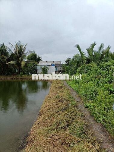 Đất thổ giá công nhân liền kề kcn Long Hậu Cần Giuộc