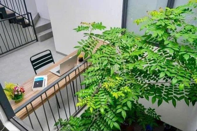 Bất động sản đáng giá – Biệt thự Mini 3PN, 2WC gần các khu công nghiệp