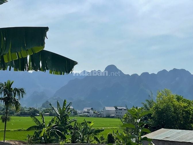 View đẹp mê mẩn 1000m ngay khu du lịch Suối khoáng thị trấn Bo Kim Bôi