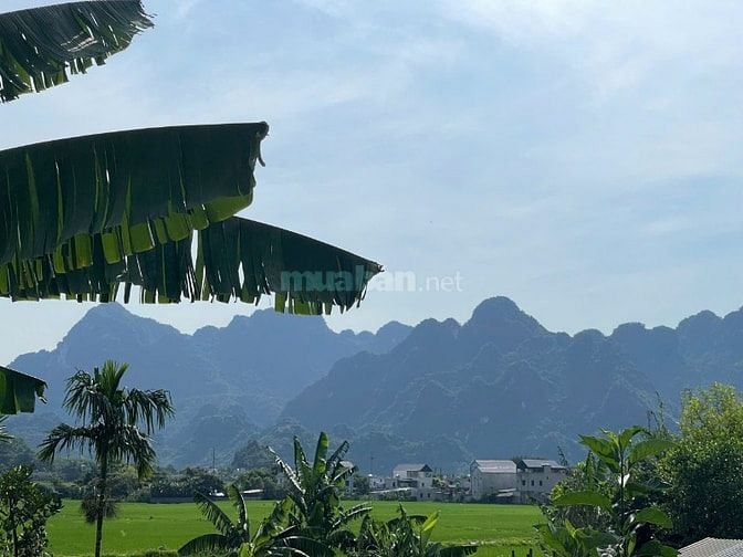 View đẹp mê mẩn 1000m ngay khu du lịch Suối khoáng thị trấn Bo Kim Bôi
