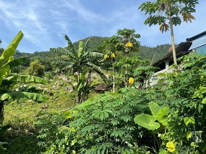 View đẹp mê mẩn 1000m ngay khu du lịch Suối khoáng thị trấn Bo Kim Bôi