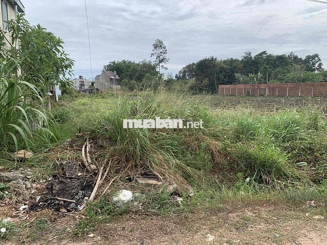 CẦN BÁN GẤP 2 LÔ ĐẤT LONG ĐỨC – LONG THÀNH- SÂN BAY LONG THÀNH