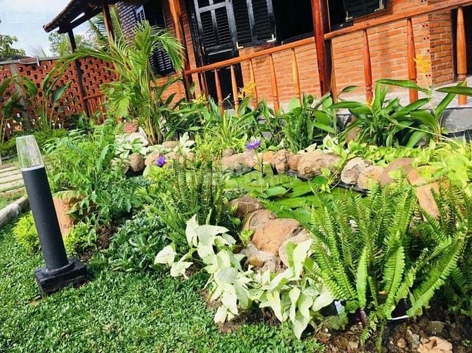 Chính chủ bán gấp 267m2 đất vườn Nguyễn Kim Cương-Củ Chi-HCM-Giá 750tr