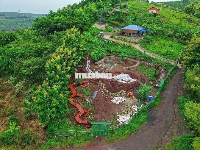 CẦN TIỀN BÁN GẤP ĐẤT VƯỜN GIÁP SUỐI - GẦN HỒ TRỊ AN  chỉ 850tr/ sào