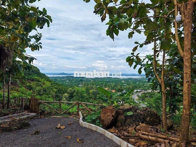 CẦN TIỀN BÁN GẤP ĐẤT VƯỜN GIÁP SUỐI - GẦN HỒ TRỊ AN  chỉ 850tr/ sào