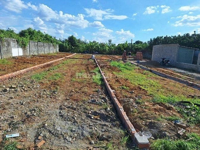 Đất sổ riêng thổ cư phường Tân Triều. Chỉ cần 200 triệu nhận đất